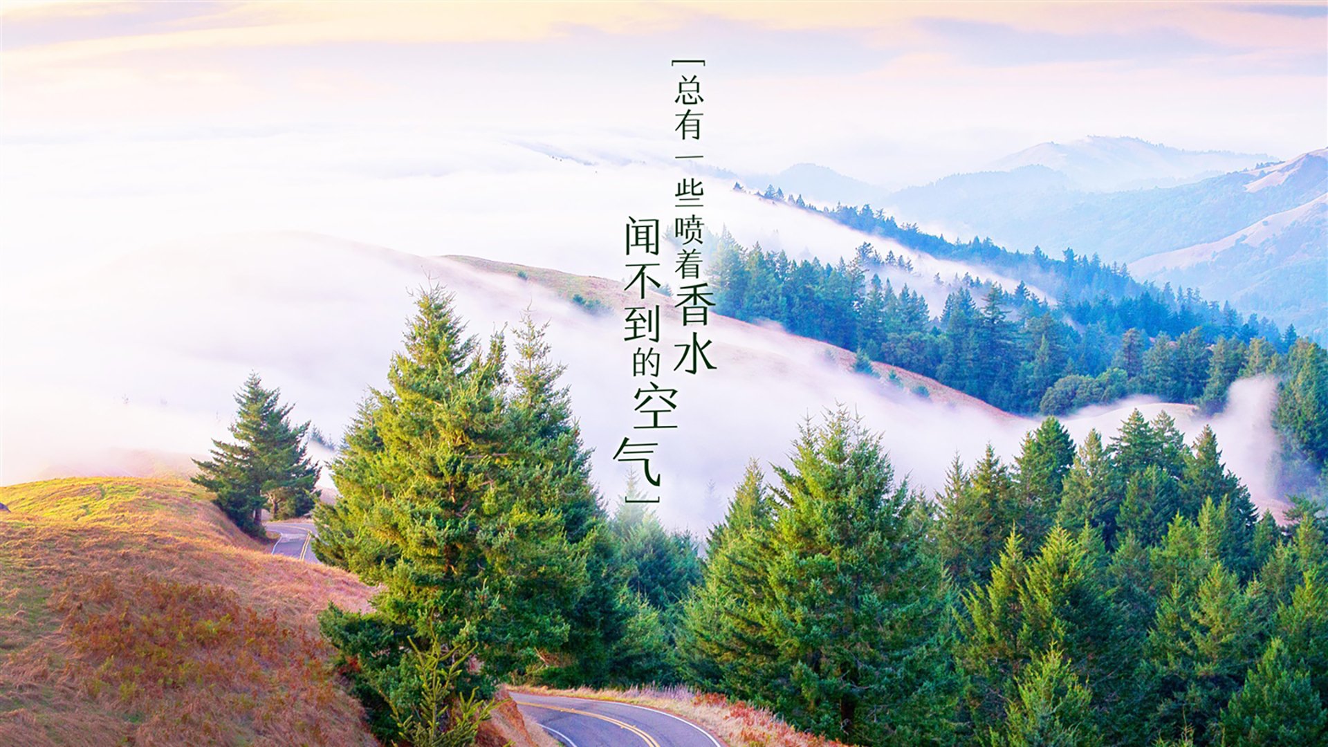 韩国星际争霸赛事品牌价值提升，韩国星际争霸比赛