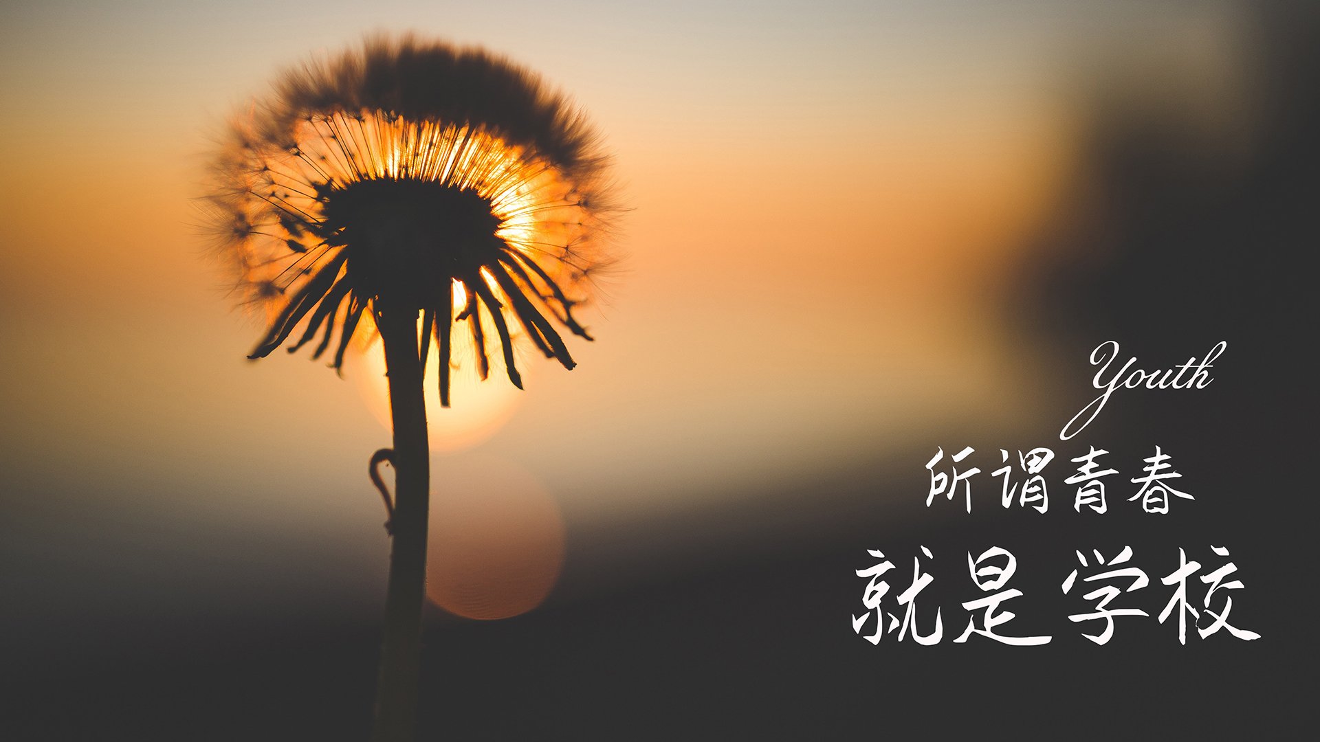 体育场馆智能管理平台构建与运行效率分析，体育场馆智慧管理系统