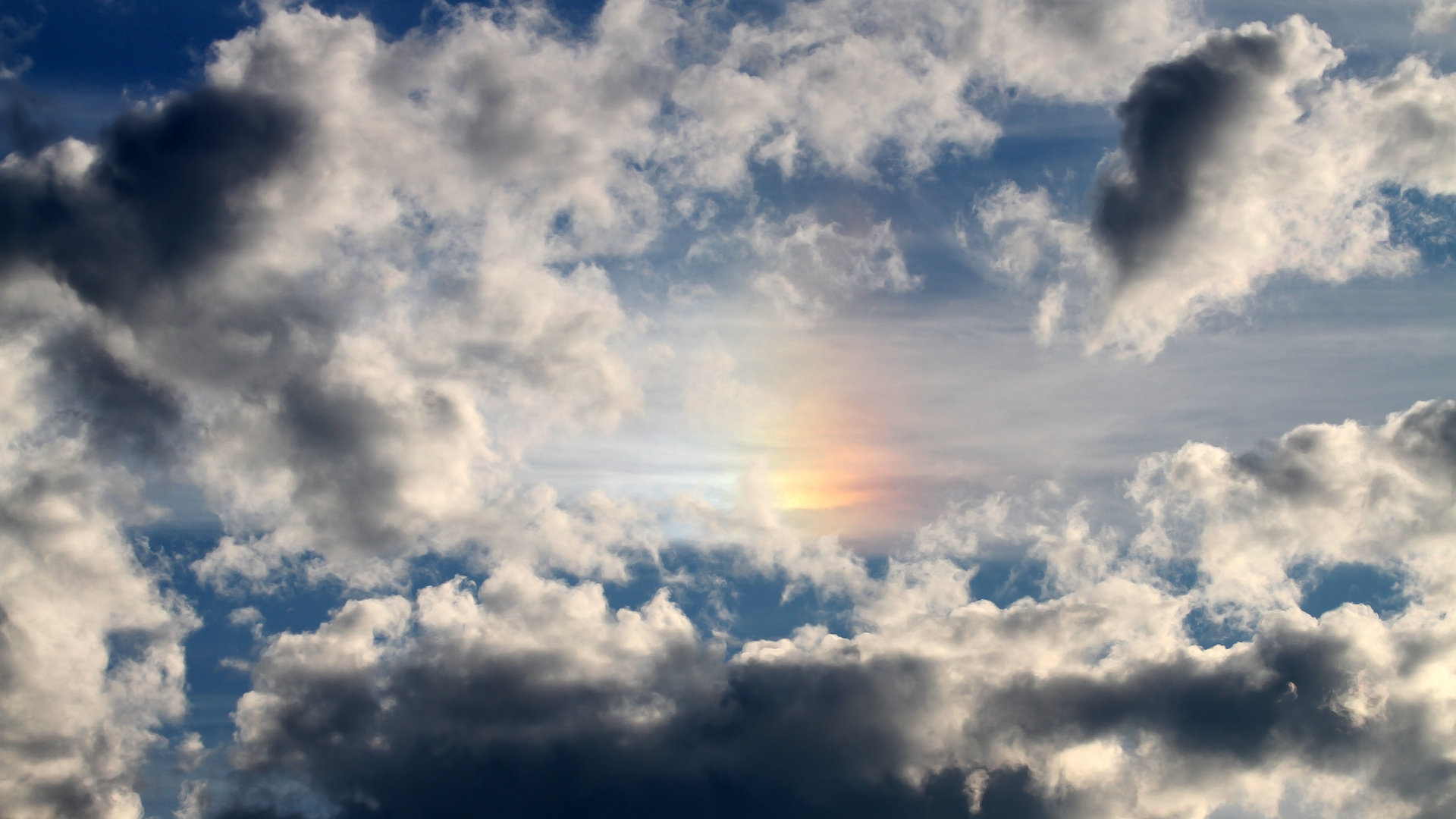 “SHO-CHAN Run 2025：全球跑者来香港一较高下”