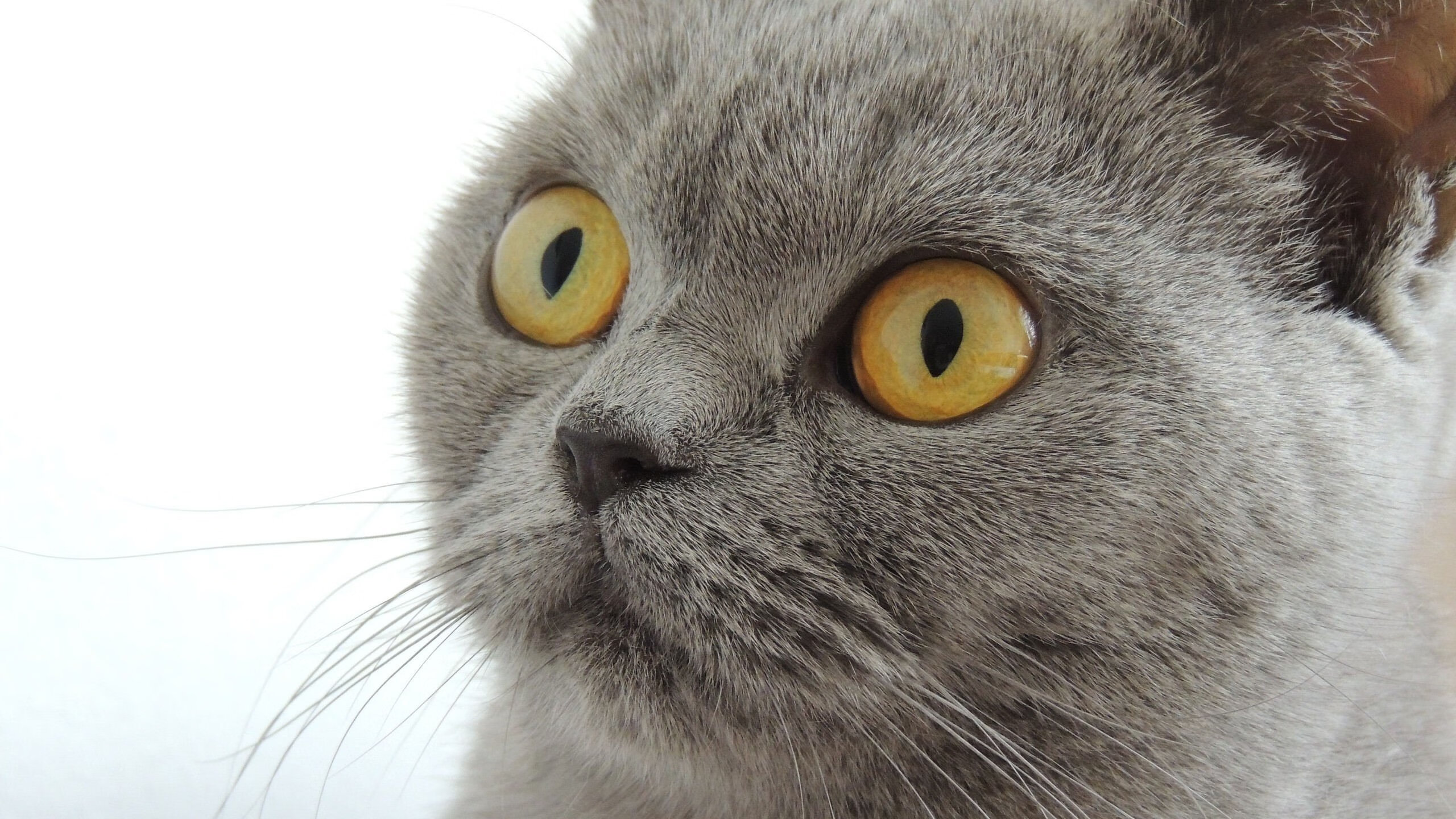 国家队长期无固定比赛主场影响凝聚力,国家队没比赛时队员干什么