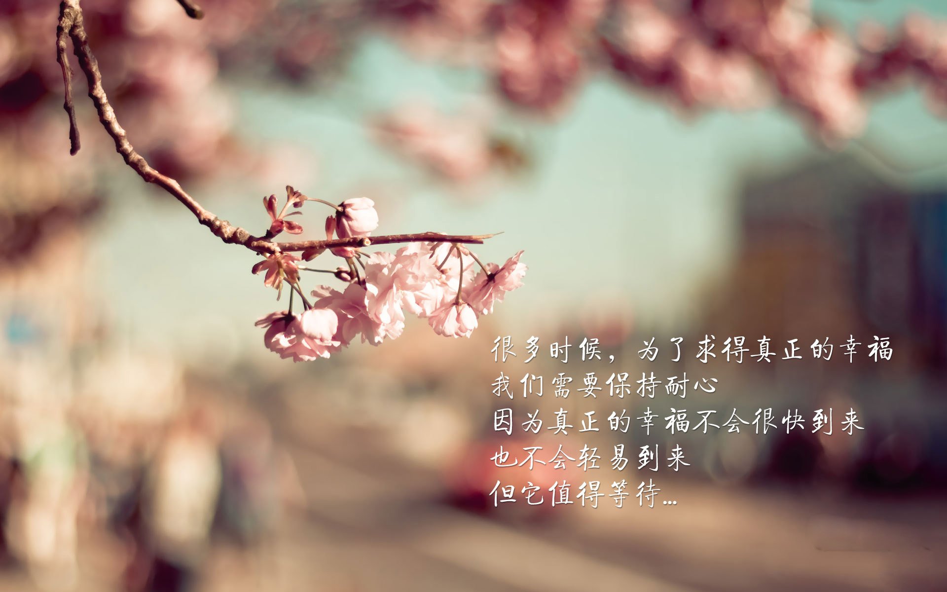 九游下载官网-瑞典队乒乓球战术：快速发球与远台进攻结合，瑞典乒乓球国家队