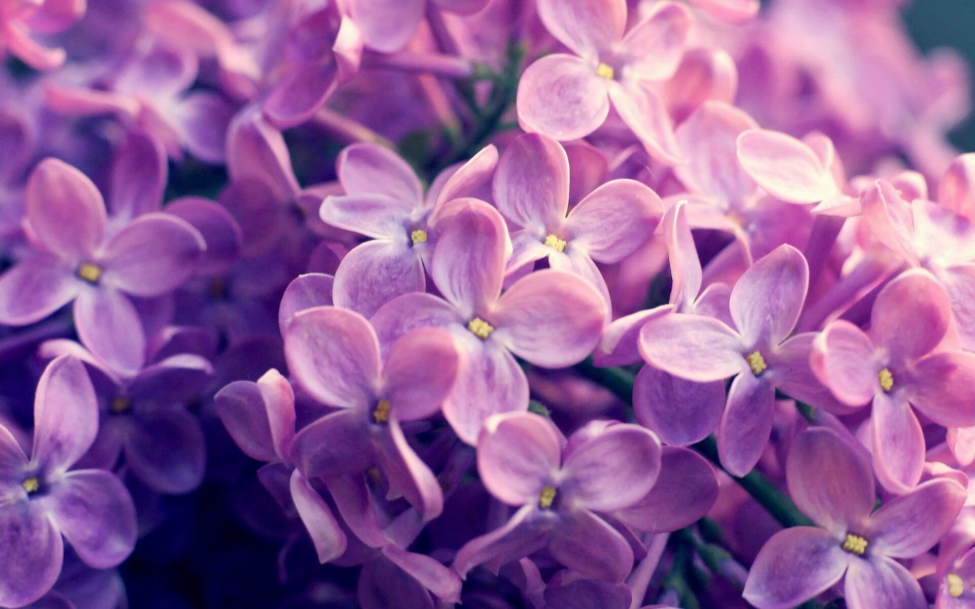 女篮国家队设立专项技术培训课程促进技能提升，女篮培训基地