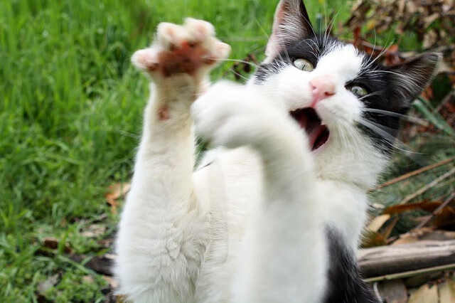 热火本赛季首次满员训练备战充分，热火新赛季首发阵容