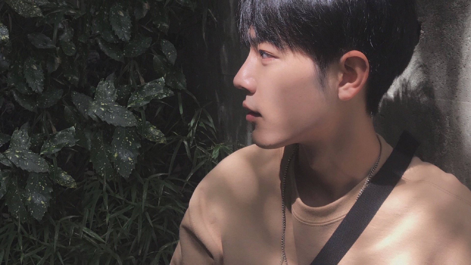 自由泳预赛比利时选手全部晋级，2020自由泳比赛